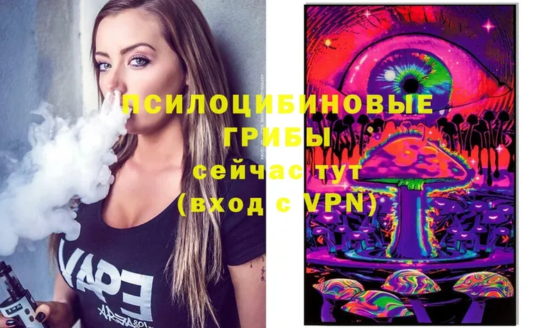 Псилоцибиновые грибы ЛСД Ковылкино